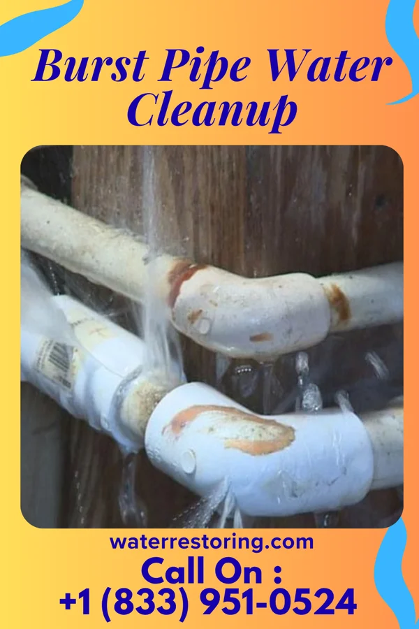 Burst Pipe Water Cleanup in Aline, OK